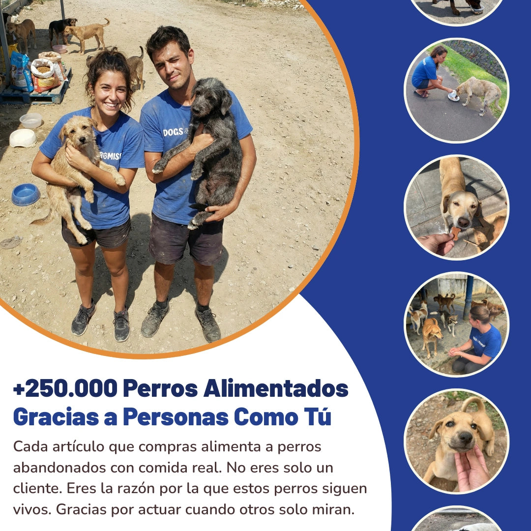 Anillo Ajustable Refugio