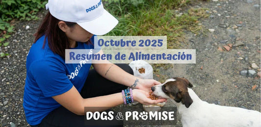 Octubre 2025: Jornadas de Alimentación