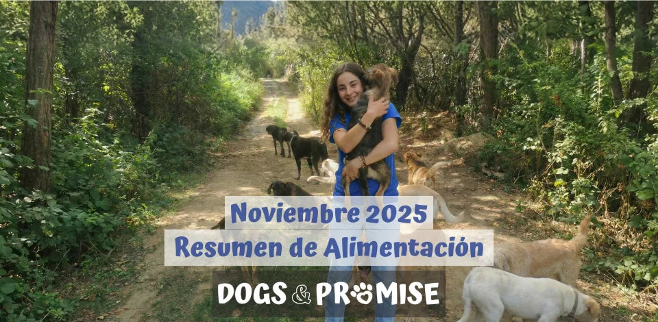 Noviembre 2025: Un Mes que No Olvidaremos