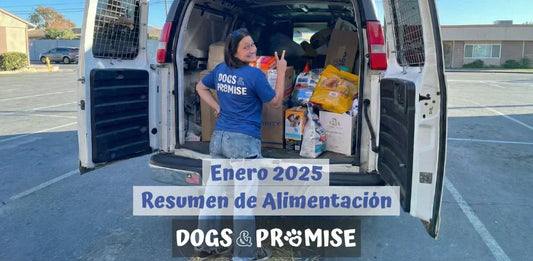Enero 2026: Arrancamos con Fuerza