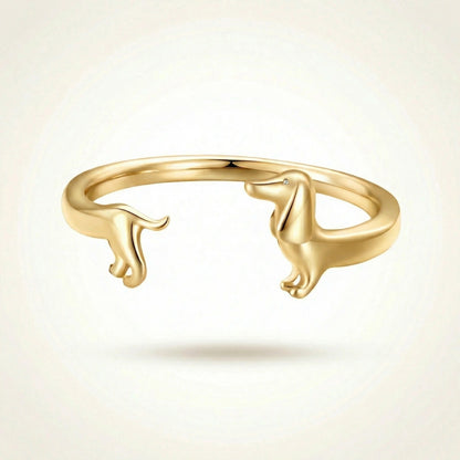 Anillo Ajustable Promesa