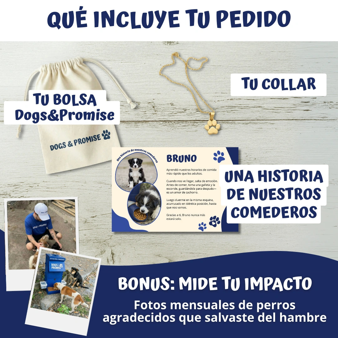 Collar Lealtad Eterna