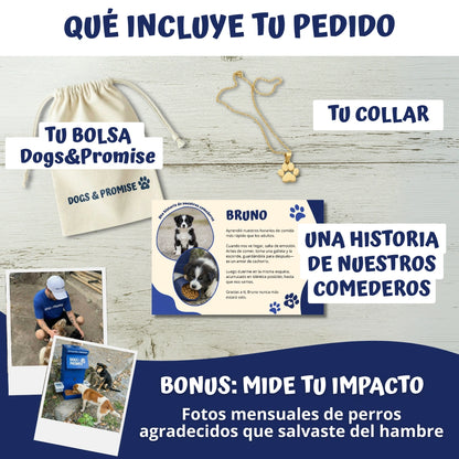 Collar Lealtad Eterna