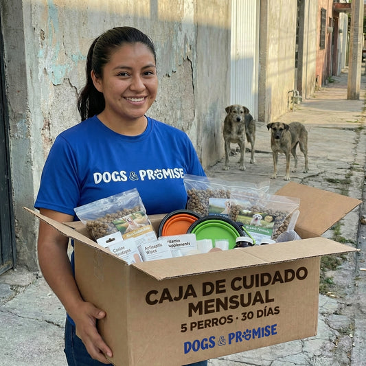 Caja de Cuidado Mensual